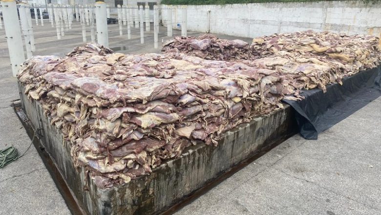 Polícia Civil de Carapicuíba flagra empresa com 4.600 kg de carne vencida