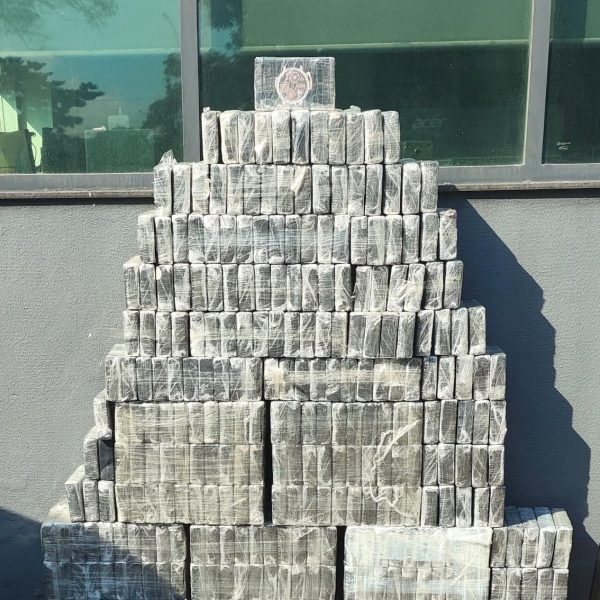 PM apreende 300 kg de cocaína e causa prejuízo de mais de R$ 100 mil ao crime organizado