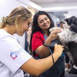 Caminho da Capacitação abre inscrições para cursos gratuitos no município de Campinas