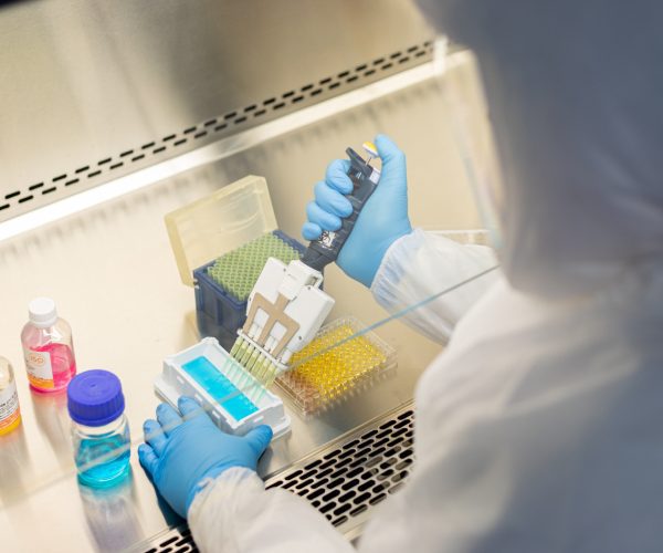 Pesquisadores do Instituto Butantan encontram moléculas com potencial antibiótico em veneno de sapo