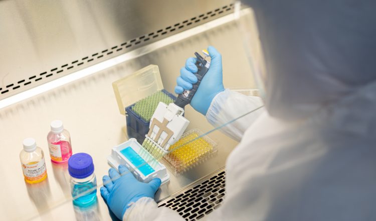 Pesquisadores do Instituto Butantan encontram moléculas com potencial antibiótico em veneno de sapo